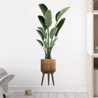 Simulation Green Plant Ornamental Potted Wall Sticker for Living Room Office Bedroom Decoration Wall Decals